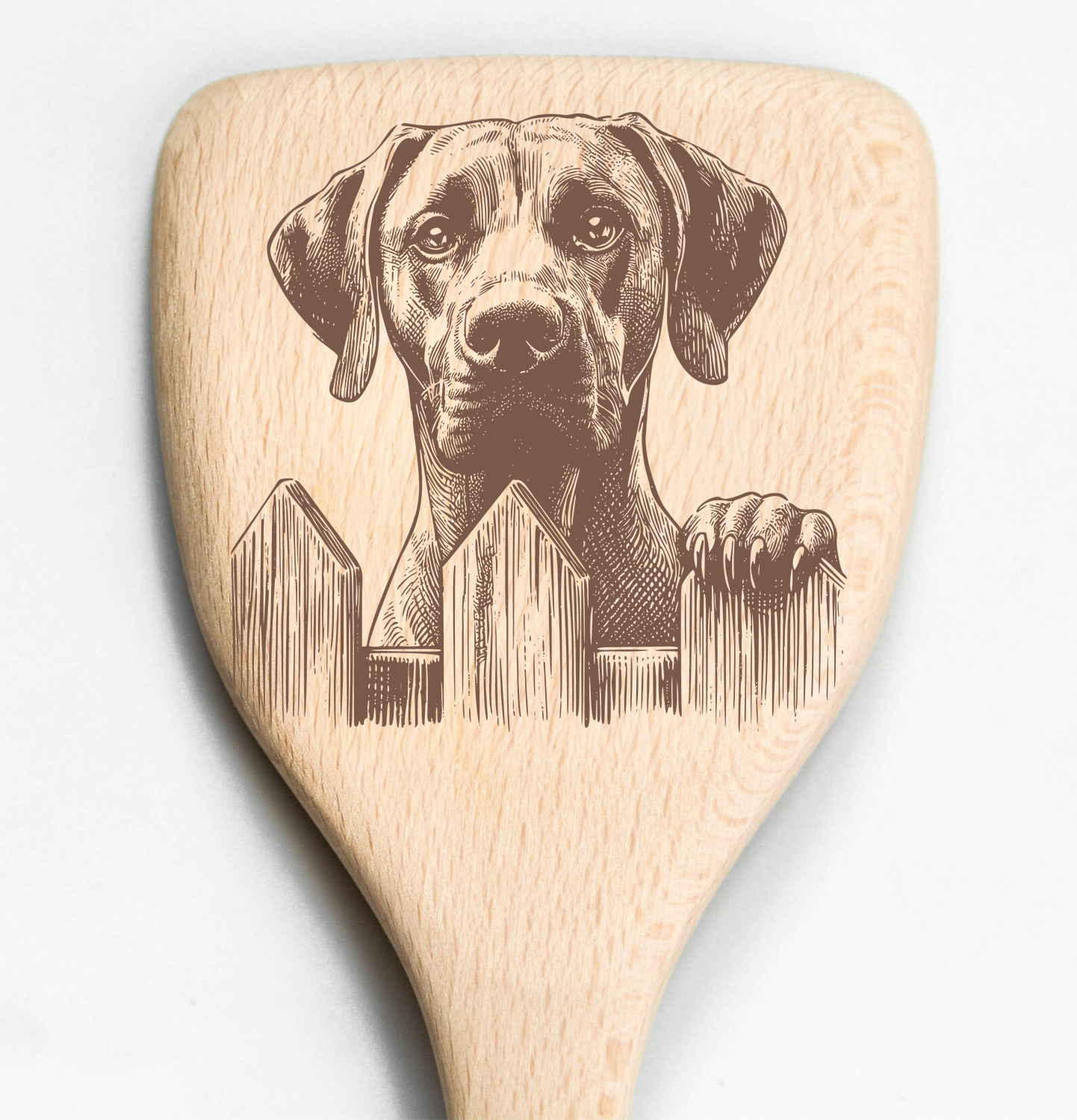 Rhodesian Ridgeback Peeking Over Fence Spatula